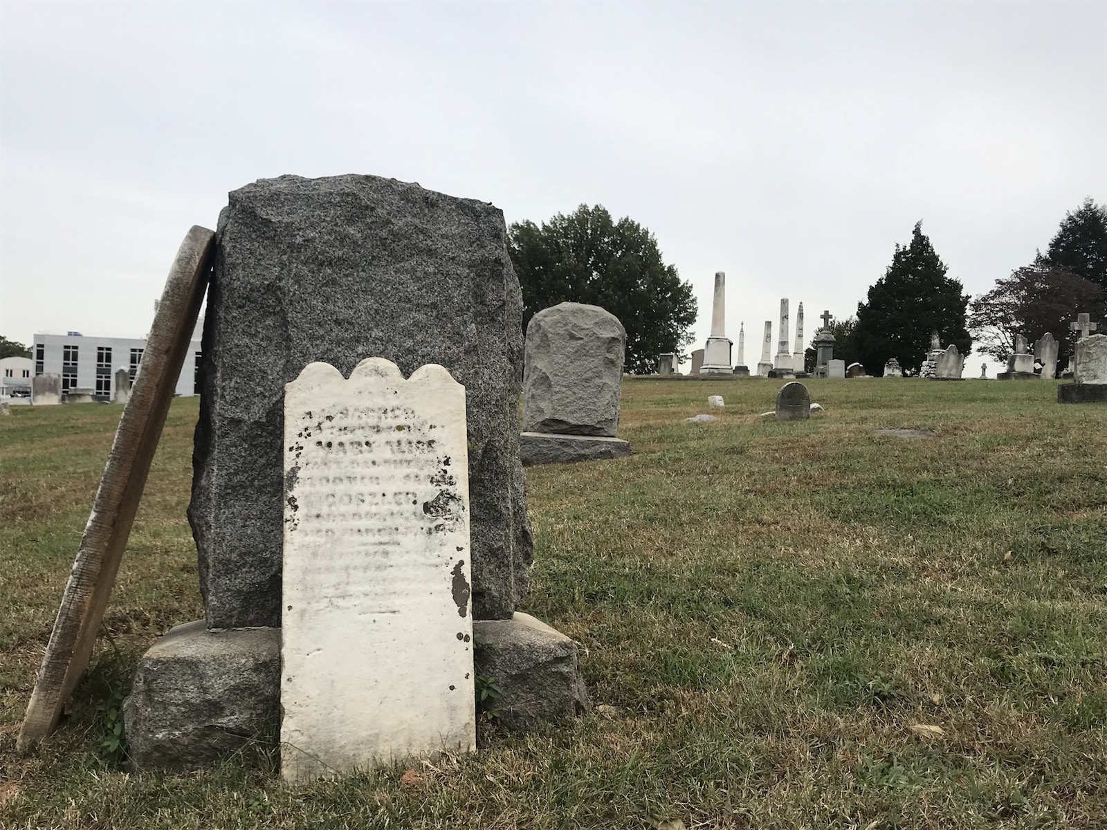 October 25 Holy Rood Cemetery (ONP 298)