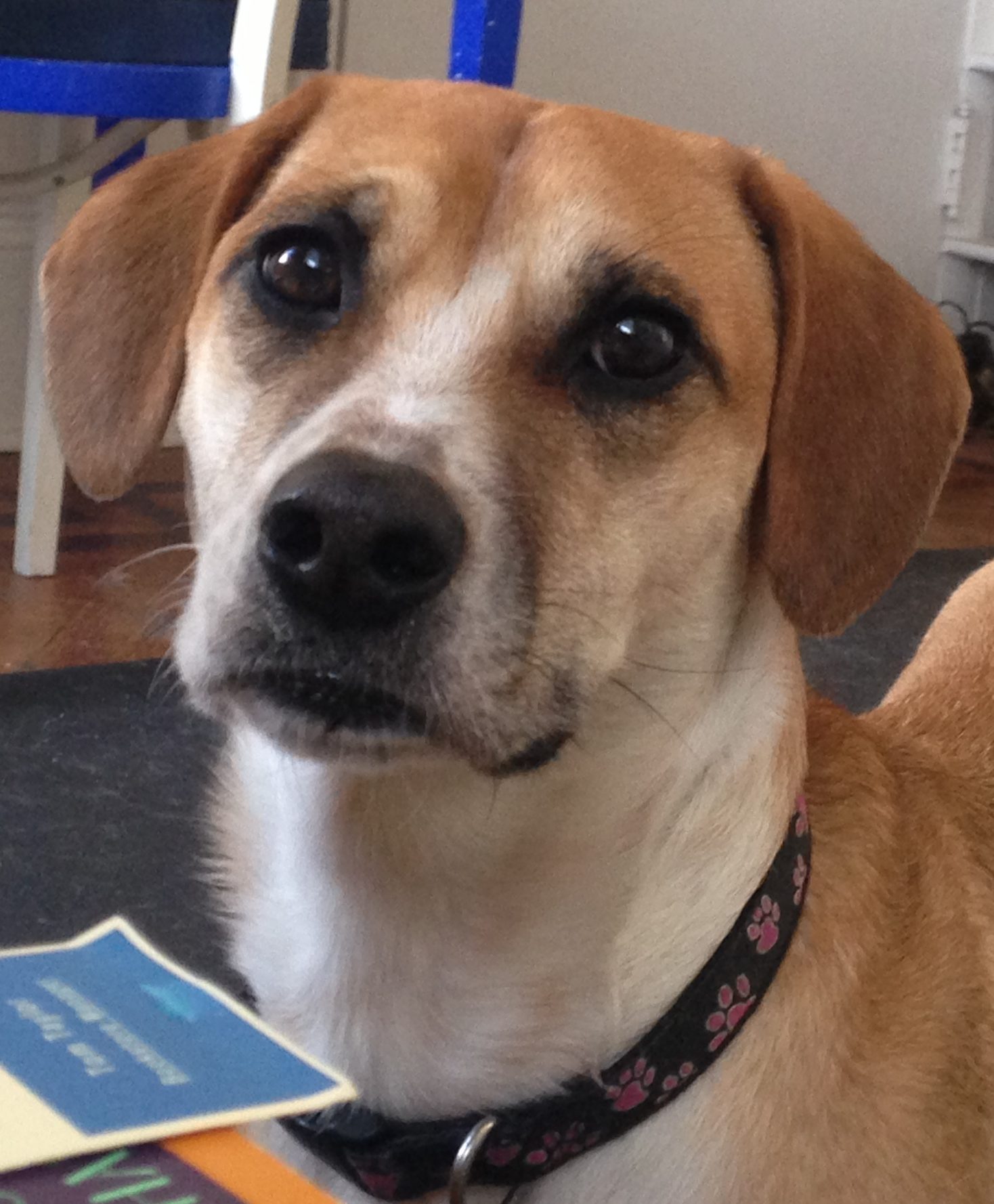 IMG_2195-e1529963616449